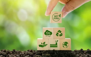 Eco-friendly event signage materials